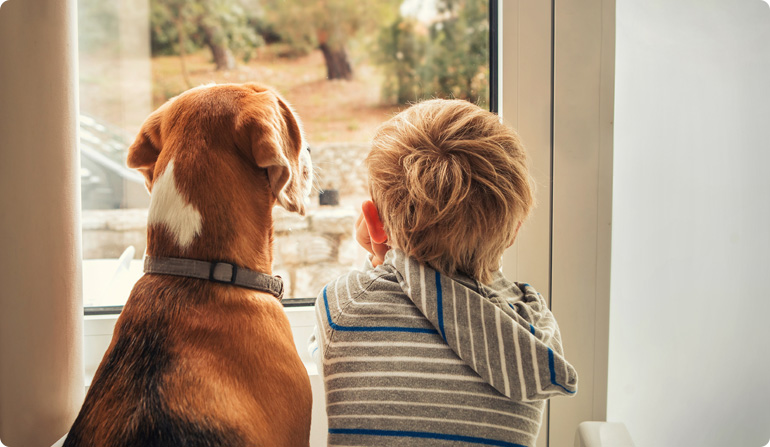 Chien et enfant regardent par la fenêtre