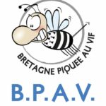 Bretagne Piquée Au Vif